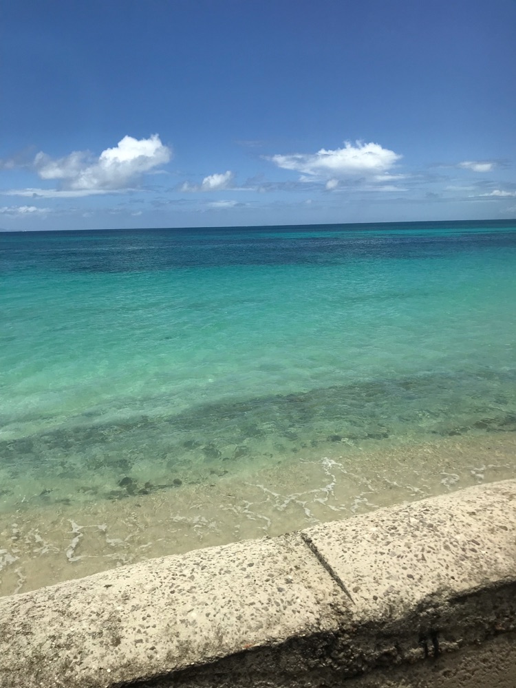 Antigua Traditional House, Pineapple Farm, Fryes Estate, Beach