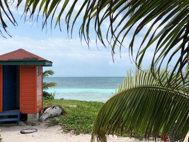 Belize Goff's Caye Island Beach Getaway and Snorkel Excursion Beautiful and worth the money. 