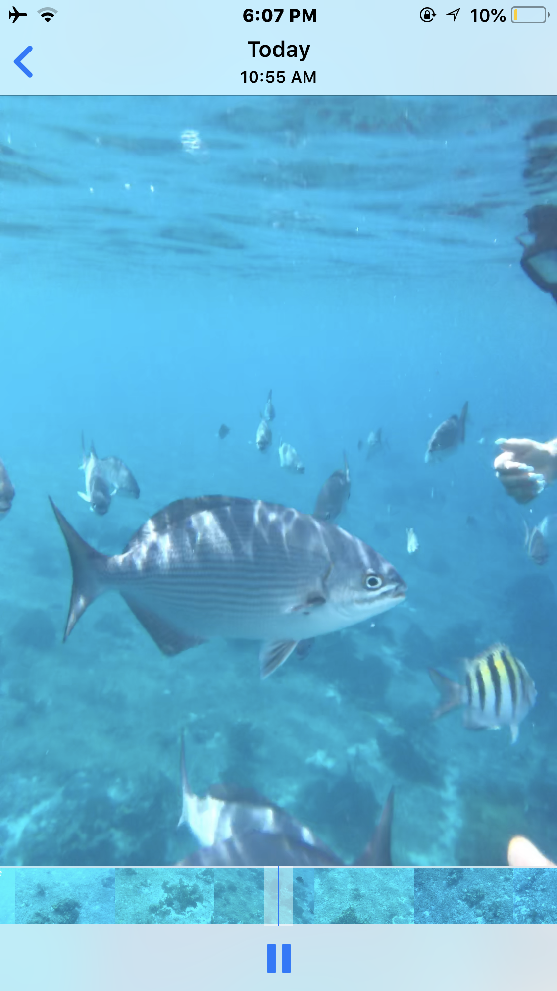 cozumel catamaran cruise excursions best cozumel catamaran sail and snorkel excursion cozumel catamaran cruise excursions best cozumel catamaran sail and snorkel excursion