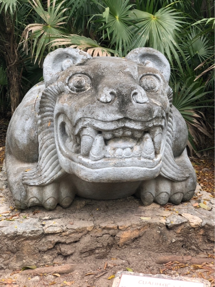 Cozumel Chankanaab Beach Park Snorkel and All Inclusive Day Pass