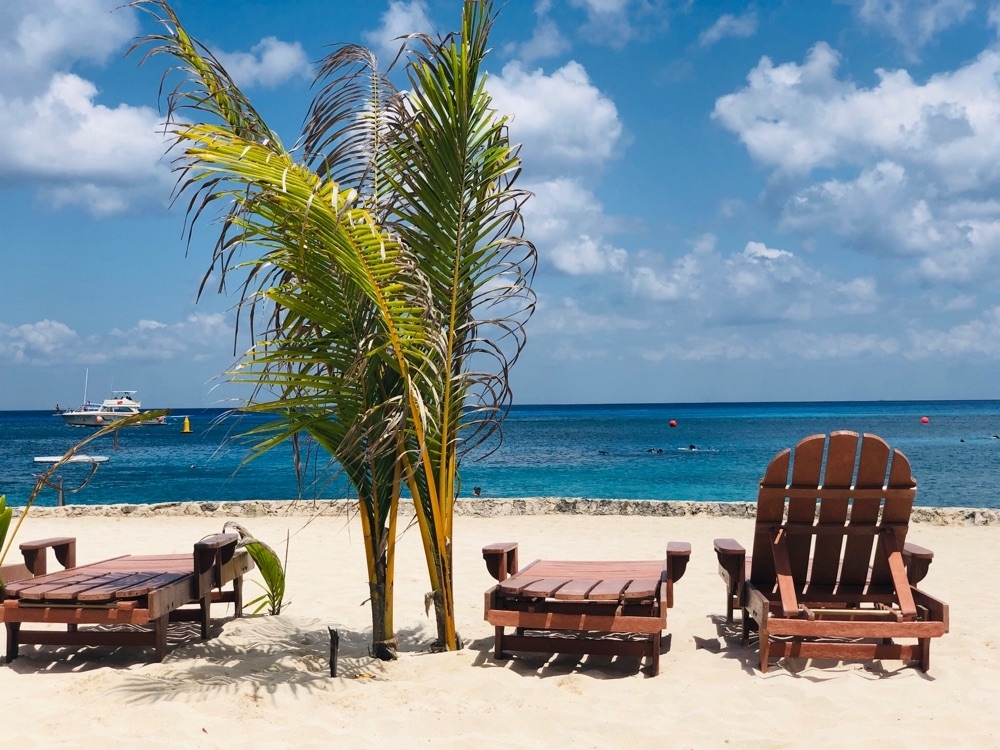 Cozumel Chankanaab Beach Park Snorkel And All Inclusive