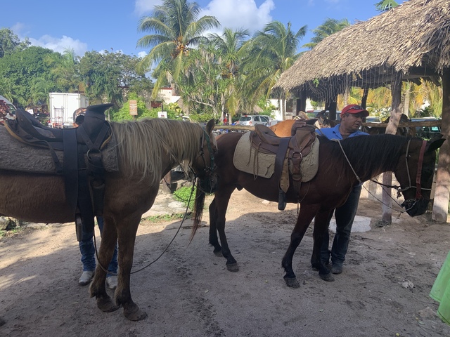 Cozumel Mr. Sanchos Beach Horseback Riding Excursion Intimate experience 