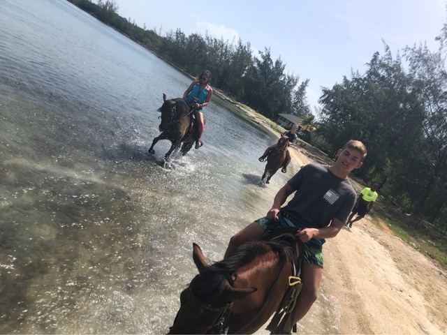 Roatan Zipline, Horseback Ride, and Snorkel Combo Excursion awesome!!