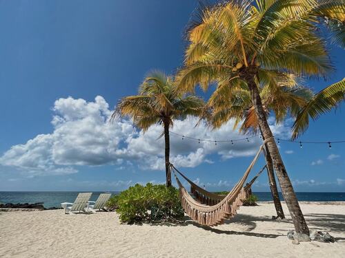 Cozumel Chankanaab All Inclusive Day Pass and Snorkel Excursion