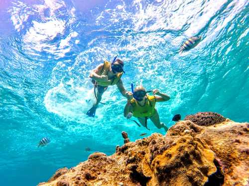 Cozumel Tortugas Beach Club Day Pass - Cozumel Excursions