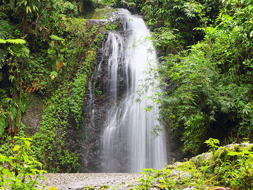 Fort de France Gendarme waterfall Shore Excursion Booking