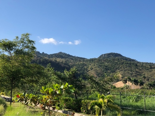 Amber Cove Puerto Plata Back-Road Adventure and Beach Break Excursion ATV Excursion 