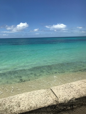 Antigua Traditional House, Pineapple Farm, Fryes Estate, and Beach Excursion with Lunch great title