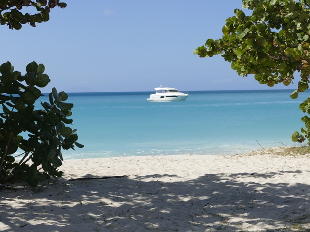 Antigua Traditional House, Pineapple Farm, Fryes Estate, and Beach Excursion with Lunch Great Day of History and Beach