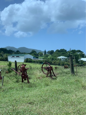 Antigua Traditional House, Pineapple Farm, Fryes Estate, and Beach Excursion with Lunch amazing time!