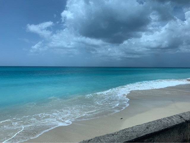 Antigua Traditional House, Pineapple Farm, Fryes Estate, and Beach Excursion with Lunch amazing time!