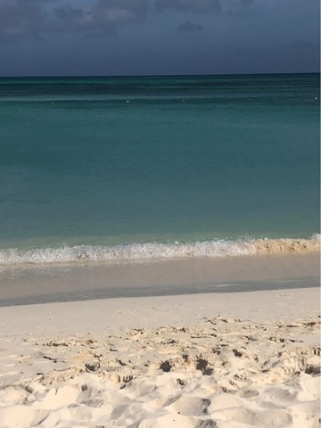 Aruba Barcelo All Inclusive Day Pass Excursion Best Inclusive