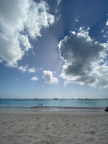 Barbados Shipwreck Snorkel, Turtles, Lunch and Open Bar Excursion Beautiful!!