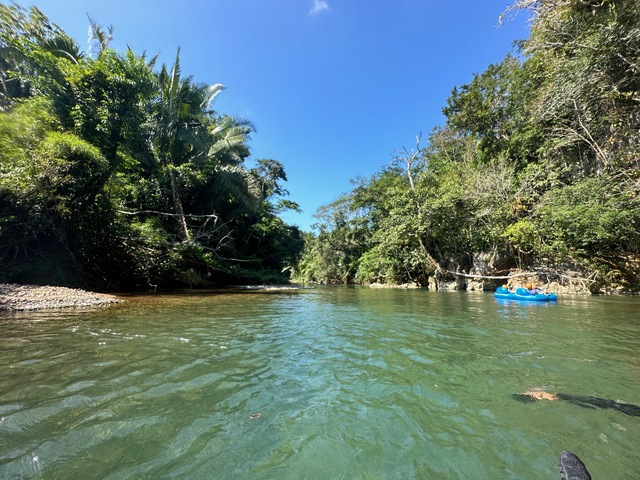 Belize Altun Ha Mayan Ruins and Cave Tubing with Sightseeing Excursion Had a blast with Melvin as our guide