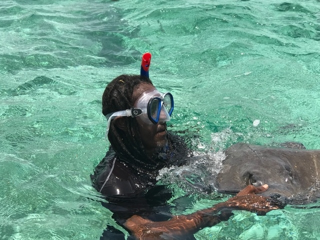 Belize Coral Gardens and Shark Ray Alley Snorkel Excursion  Snorkel with Nurse Sharks, Stingrays, Fish etc