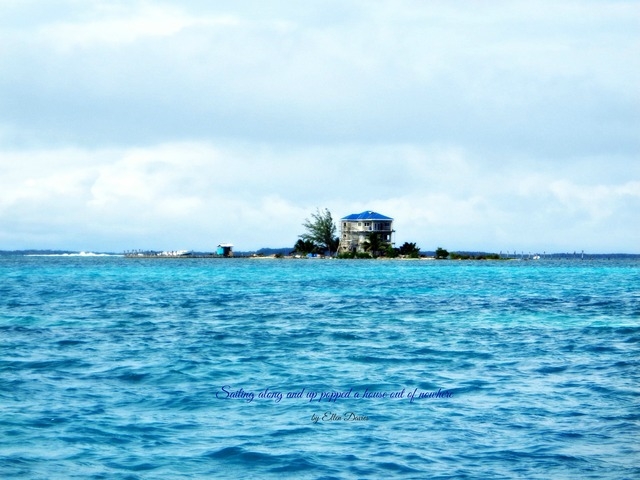 Belize Coral Gardens and Shark Ray Alley Snorkel Excursion Best Day!