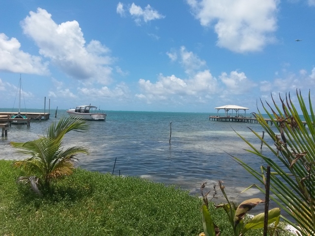 Belize Coral Gardens and Shark Ray Alley Snorkel Excursion Amazing time