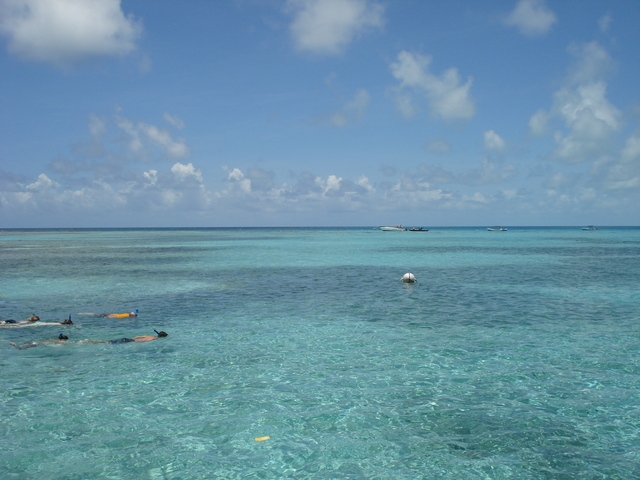 Belize Coral Gardens and Shark Ray Alley Snorkel Excursion Amazing time