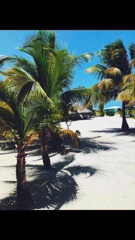 Belize Exclusive Secluded Island Beach Day Pass Excursion Perfect!