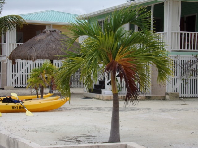 Belize Exclusive Secluded Island Beach Day Pass Excursion Wonderful Time!