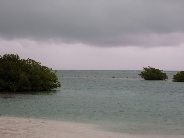 Belize Exclusive Secluded Island Beach Day Pass Excursion Wonderful Time!