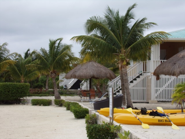 Belize Exclusive Secluded Island Beach Day Pass Excursion Wonderful Time!