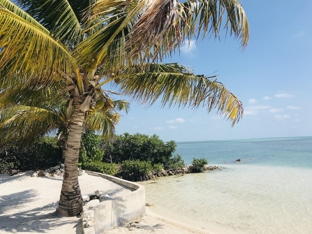 Belize Exclusive Secluded Island Beach Day Pass Excursion  Best Excursion Ever