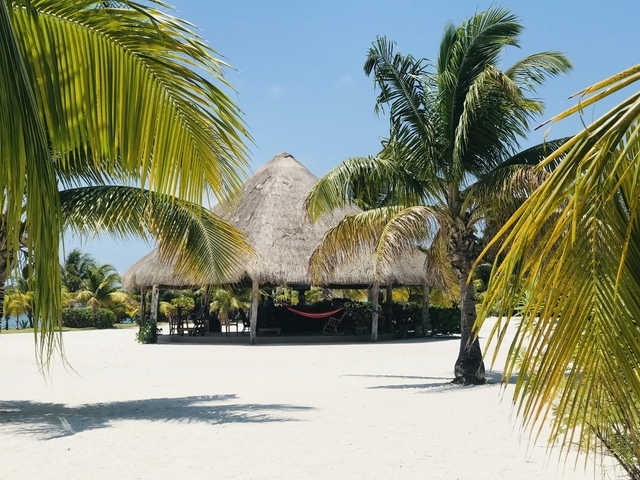 Belize Exclusive Secluded Island Beach Day Pass Excursion  Best Excursion Ever