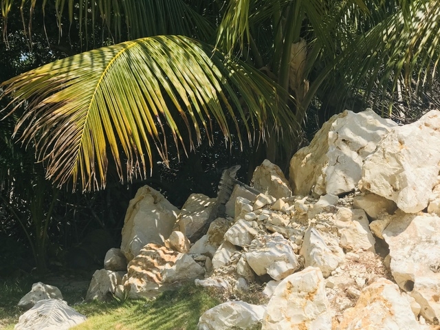 Belize Exclusive Secluded Island Beach Day Pass Excursion  Best Excursion Ever