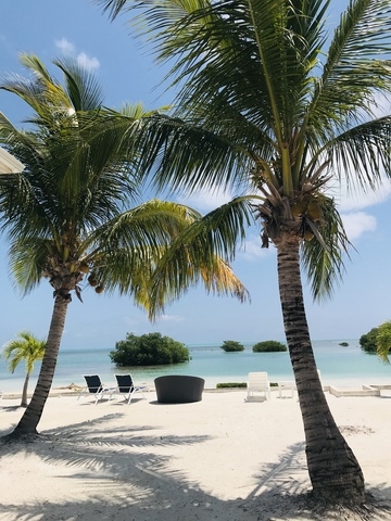 Belize Exclusive Secluded Island Beach Day Pass Excursion  Best Excursion Ever