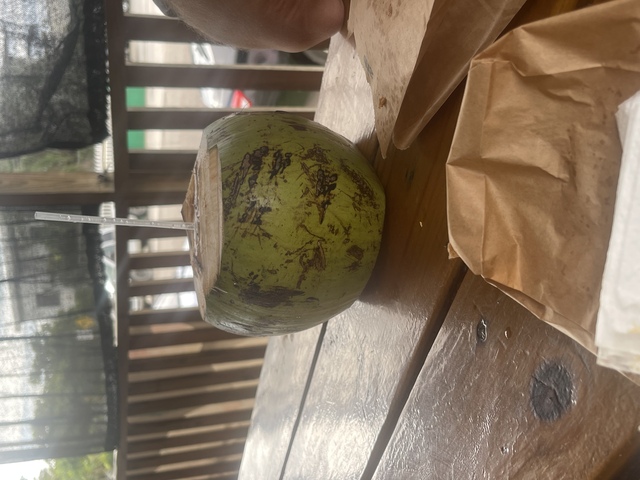 Belize Food Tasting, Rum and Sightseeing Bus Excursion Best Part of my Cruise