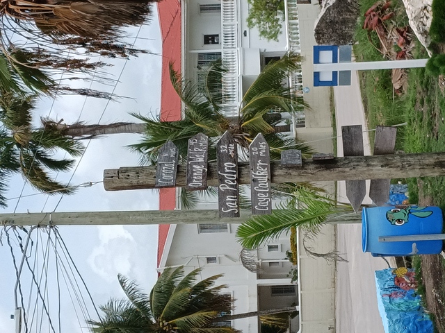 Belize Food Tasting, Rum and Sightseeing Bus Excursion Had An Amazing Time with Jefferson!
