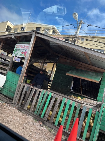 Belize Food Tasting, Rum and Sightseeing Bus Excursion Authentic Belizean Experience!