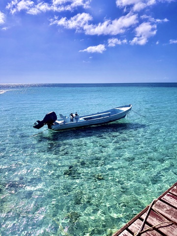 Belize Goff's Caye Island Beach Getaway and Snorkel Excursion Absolutely beautiful and fun! 