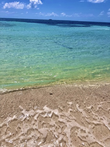 Belize Goff's Caye Island Beach Getaway and Snorkel Excursion Absolutely beautiful and fun! 