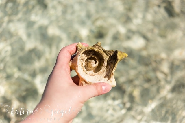 Belize Goff's Caye Island Beach Getaway and Snorkel Excursion Nice little island