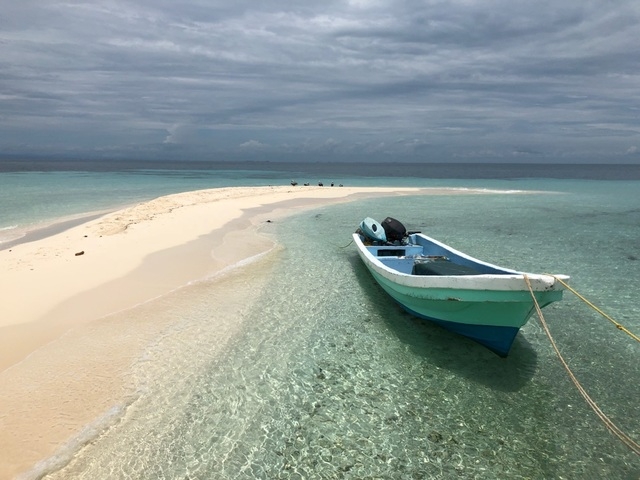 Belize Goff's Caye Island Beach Getaway and Snorkel Excursion natural beauty