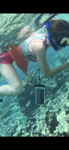 Belize Goff's Caye Island Beach Getaway and Snorkel Excursion Loved it!!