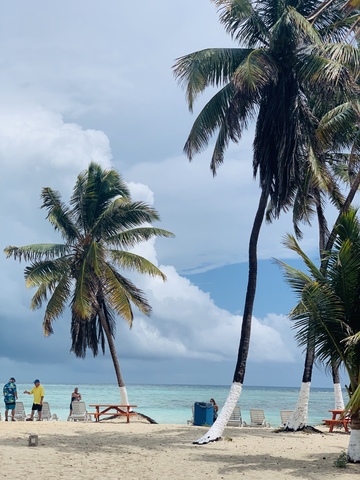 Belize Goff's Caye Island Beach Getaway and Snorkel Excursion Loved Goffs Cay