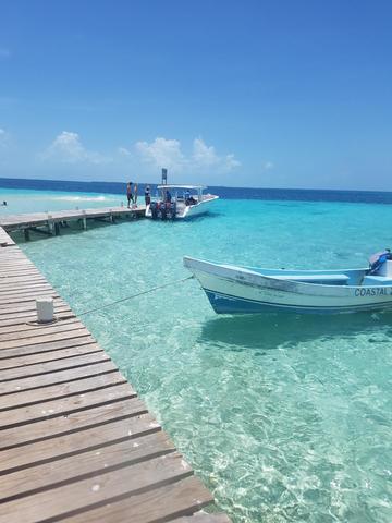 Belize Goff's Caye Island Getaway and Snorkel Cruise Excursion Best excursion ever!