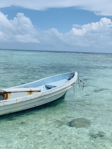 Belize Goff's Caye Island Getaway and Snorkel Cruise Excursion Loved Goffs Cay