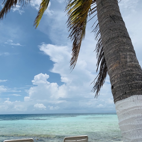 Belize Goff's Caye Island Getaway and Snorkel Cruise Excursion Loved Goffs Cay