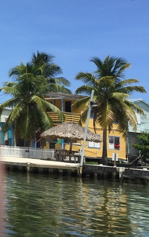 Belize Hol Chan Marine Reserve & Shark Ray Alley Snorkel Excursion Adventure with Caye Caulker Island Beach Break Best excursion ever 