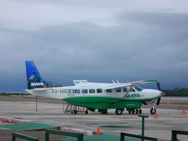 Belize Hol Chan One Tank SCUBA Dive and Shark Ray Alley Snorkel Excursion by Air Awesome all the way around!