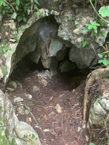 Belize Jeep Jungle Safari Excursion Best possible, personal experience