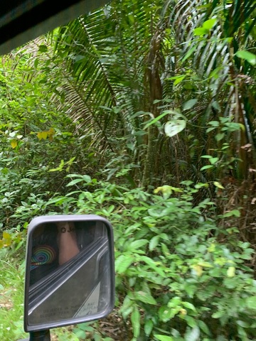 Belize Jeep Jungle Safari Excursion Best possible, personal experience