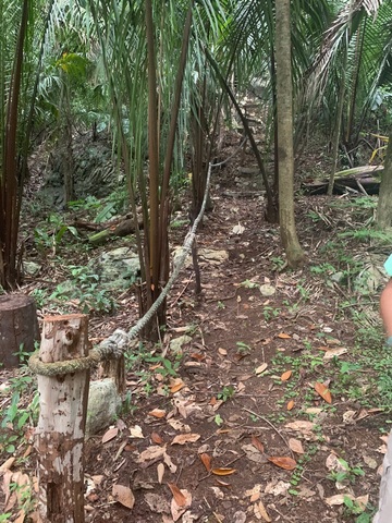 Belize Jeep Jungle Safari Excursion Best possible, personal experience