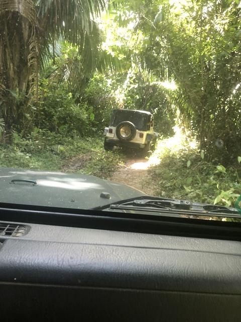 Belize Jeep Safari and Tropical Wildlife Park Adventure Excursion with Lunch Driving through jungles was a blast