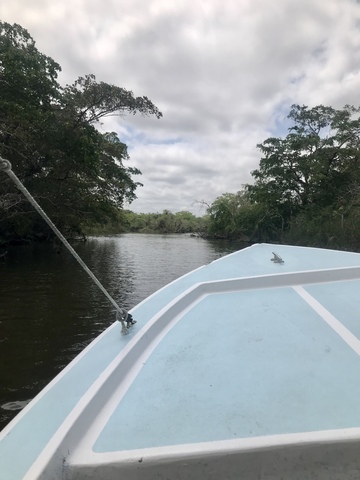 Belize Lamanai Mayan Ruins and Jungle River Safari Excursion with Lunch We highly recommend