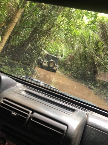 Belize Mayan Jeep and Altun Ha Ruins Excursion More than we anticipated!